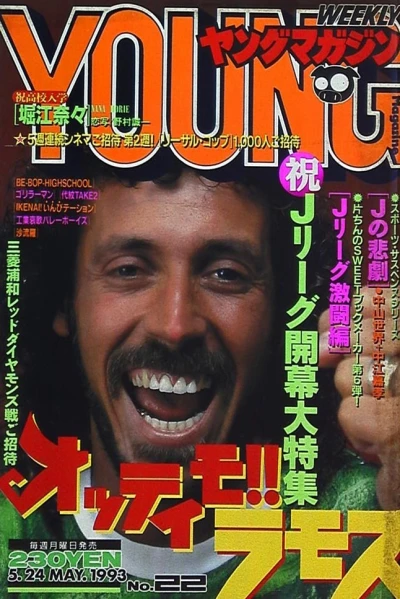Cover of No. 22, 1993
