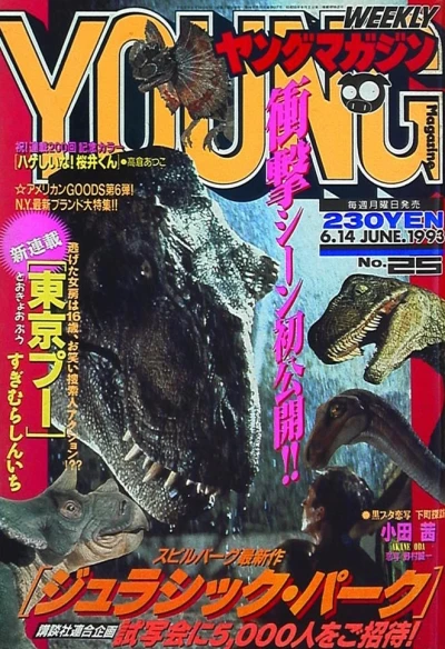 Cover of No. 25, 1993