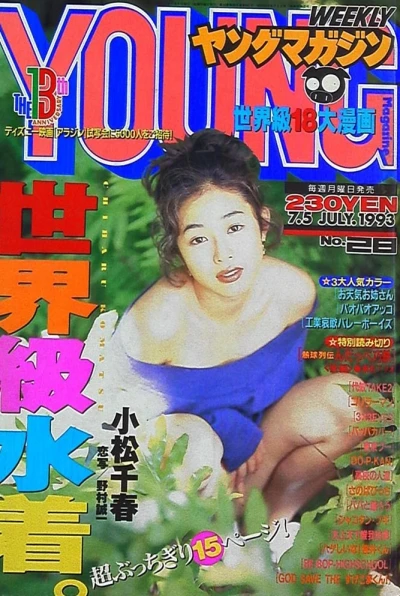 Cover of No. 28, 1993