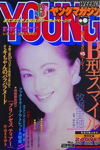 Cover of No. 29, 1993