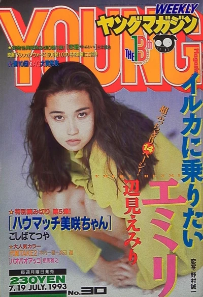 Cover of No. 30, 1993
