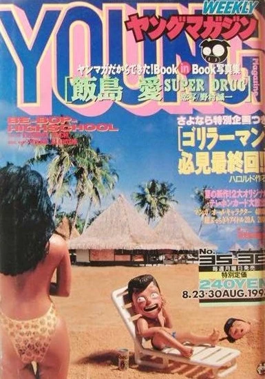 Cover of No. 35-36, 1993