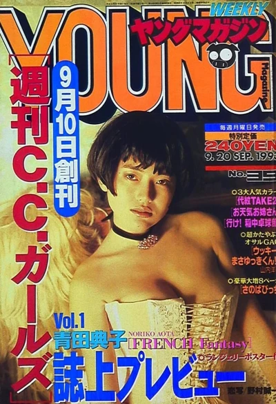 Cover of No. 39, 1993