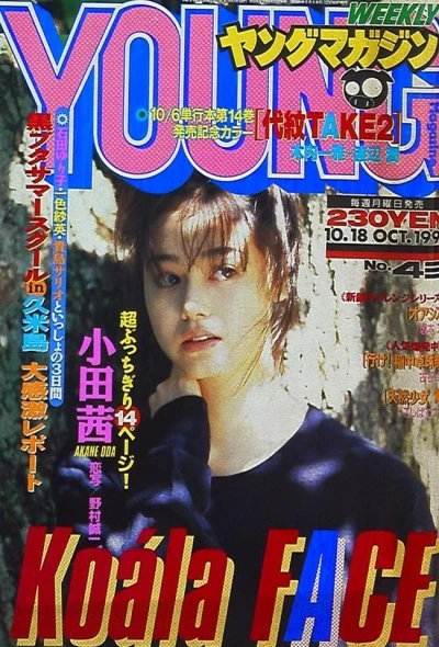Cover of No. 43, 1993