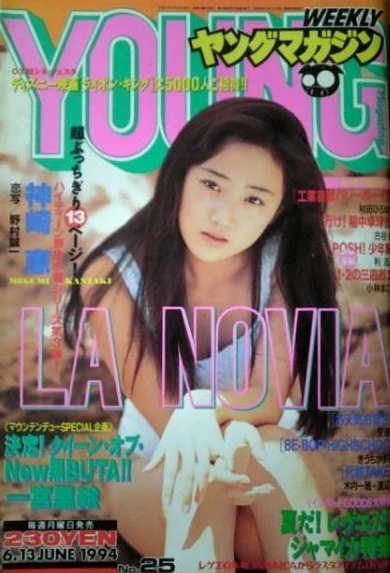 Cover of No. 25, 1994