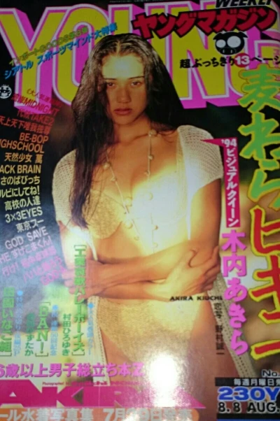 Cover of No. 33, 1994