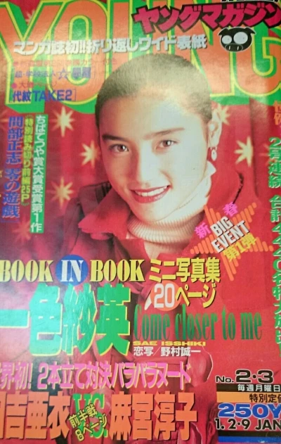 Cover of No. 2-3, 1995