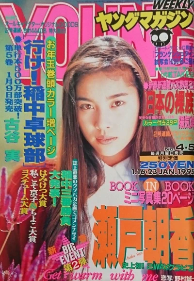 Cover of No. 4-5, 1995
