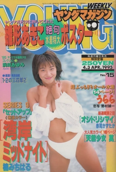 Cover of No. 15, 1995