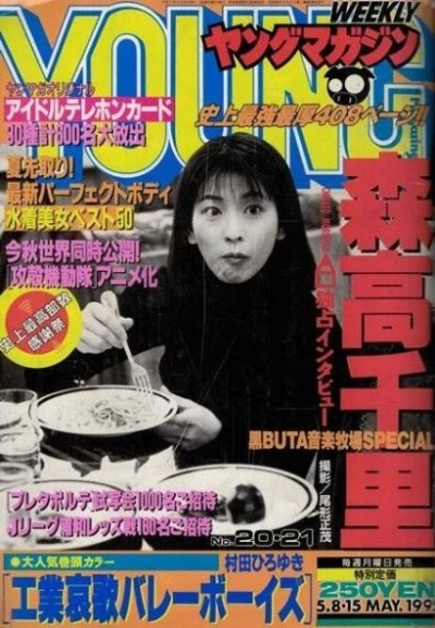 Cover of No. 20-21, 1995