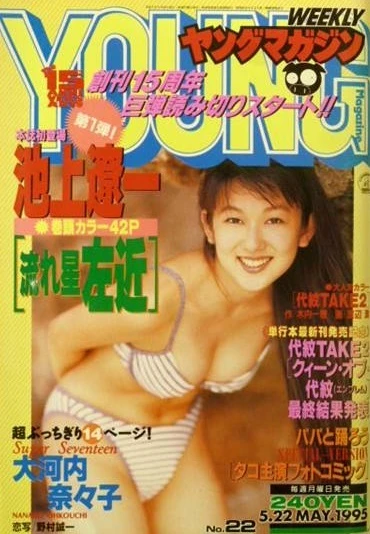 Cover of No. 22, 1995