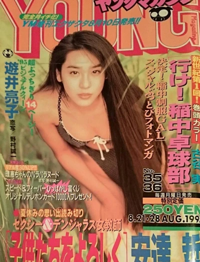 Cover of No. 35-36, 1995