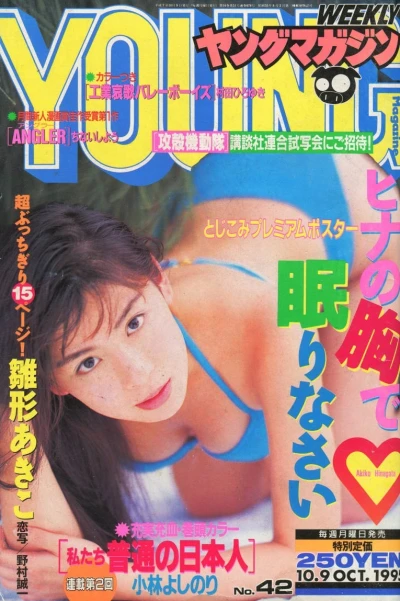 Cover of No. 42, 1995