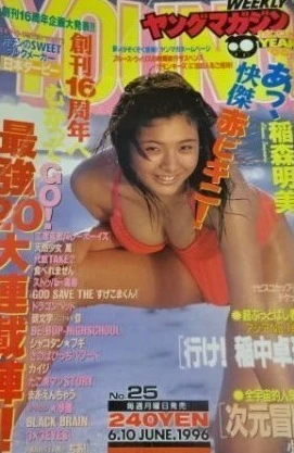 Cover of No. 25, 1996