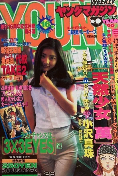 Cover of No. 29, 1996