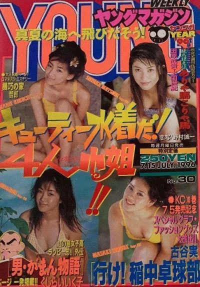 Cover of No. 30, 1996