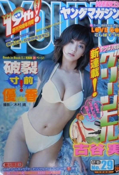 Cover of No. 29, 1999