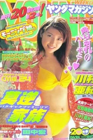 Cover of No. 28, 2000