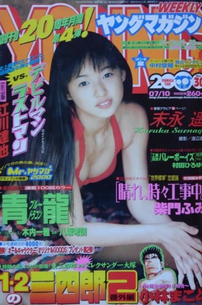 Cover of No. 30, 2000