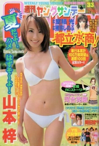 Cover of No. 33, 2005