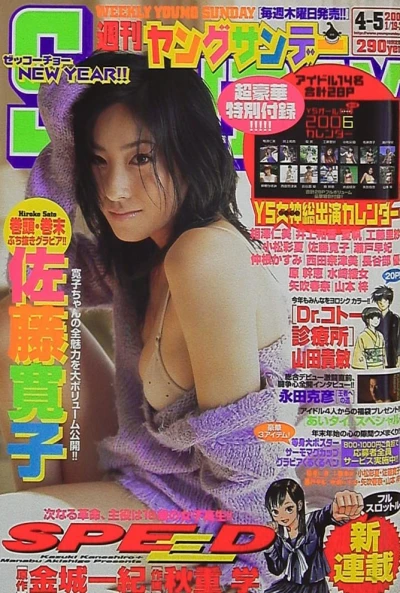 Cover of No. 4-5, 2006