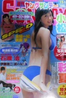 Cover of No. 15, 2006