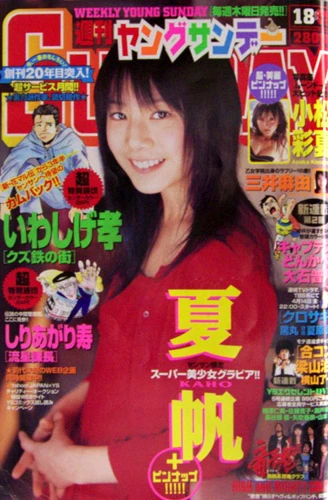 Cover of No. 18, 2006