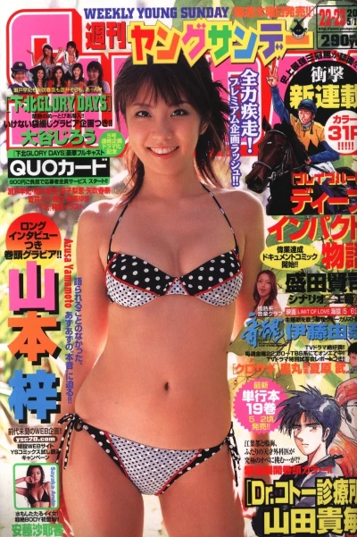 Cover of No. 22-23, 2006