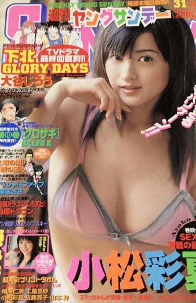 Cover of No. 31, 2006