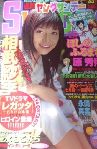 Cover of No. 33, 2006