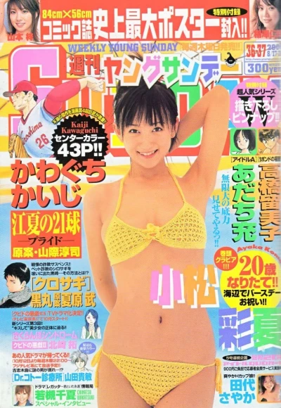 Cover of No. 36-37, 2006