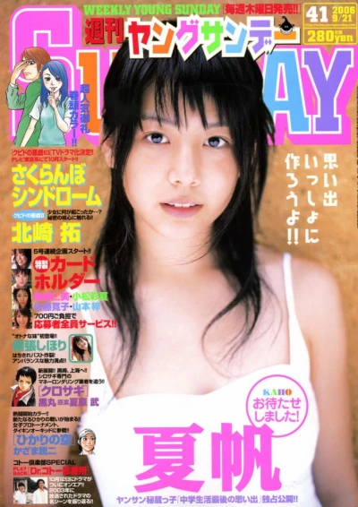 Cover of No. 41, 2006