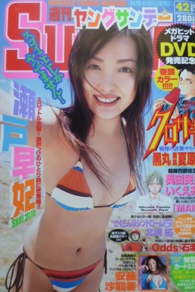 Cover of No. 42, 2006