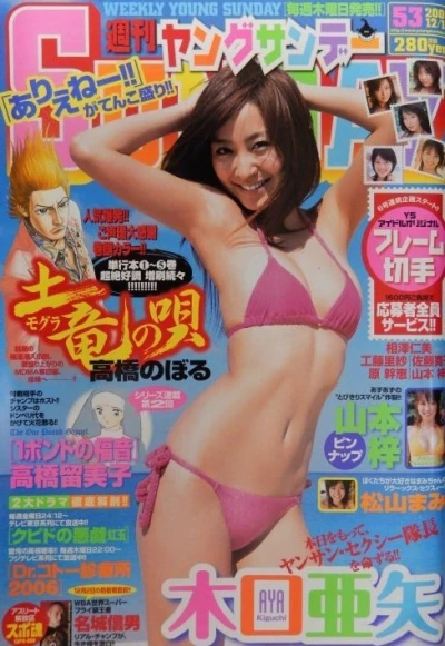 Cover of No. 53, 2006