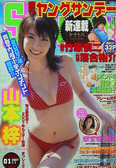 Cover of No. 1, 2007