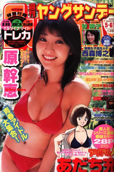 Cover of No. 5-6, 2007