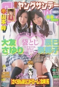 Cover of No. 10, 2007