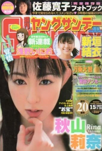 Cover of No. 15, 2007