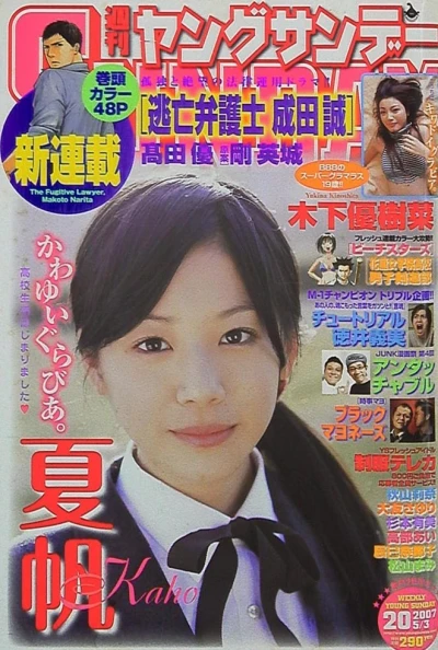 Cover of No. 20, 2007