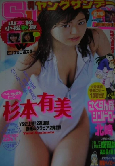 Cover of No. 25, 2007