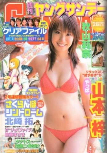 Cover of No. 26, 2007