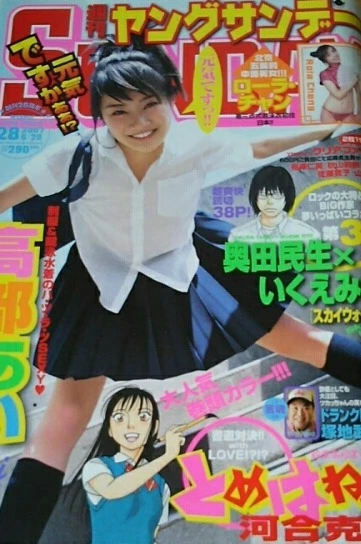 Cover of No. 28, 2007