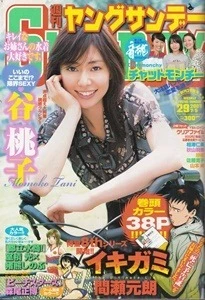 Cover of No. 29, 2007