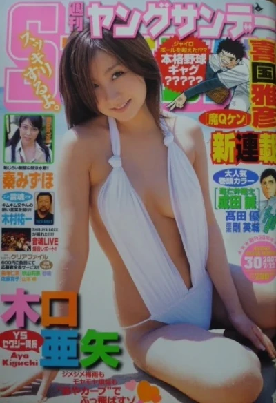 Cover of No. 30, 2007