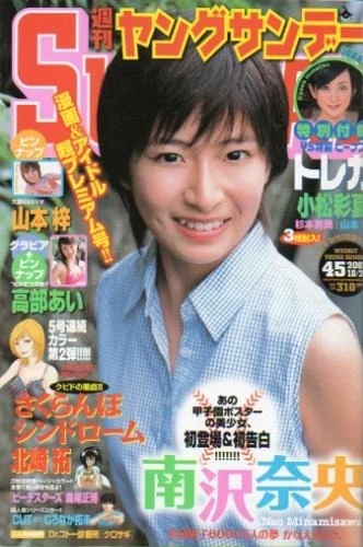 Cover of No. 45, 2007