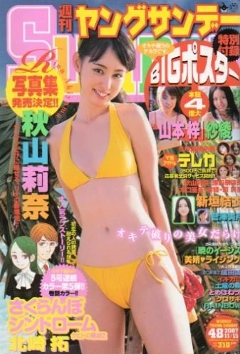 Cover of No. 48, 2007