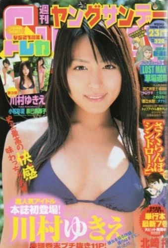 Cover of No. 23, 2008