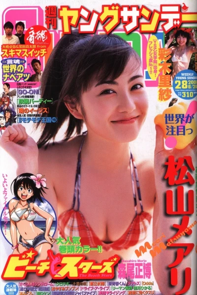 Cover of No. 28, 2008