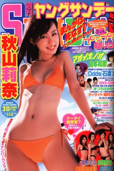 Cover of No. 30, 2008