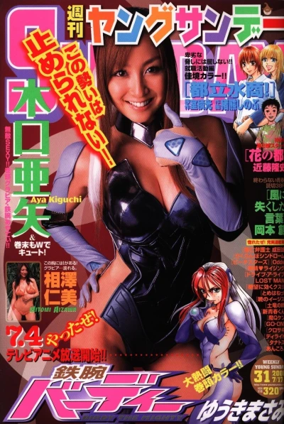 Cover of No. 31, 2008